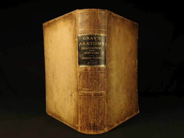 Image of 1887 Henry Gray GRAY’S ANATOMY Human Surgery Illustrated Medicine Physician