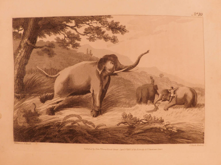 Image of 1808 1st Oriental Field Sports INDIA Big Game Hunting Bengali Elephants 2v SET