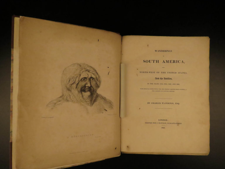 Image of 1825 1ed Wanderings South America Natural History Darwin & Wallace Inspiration