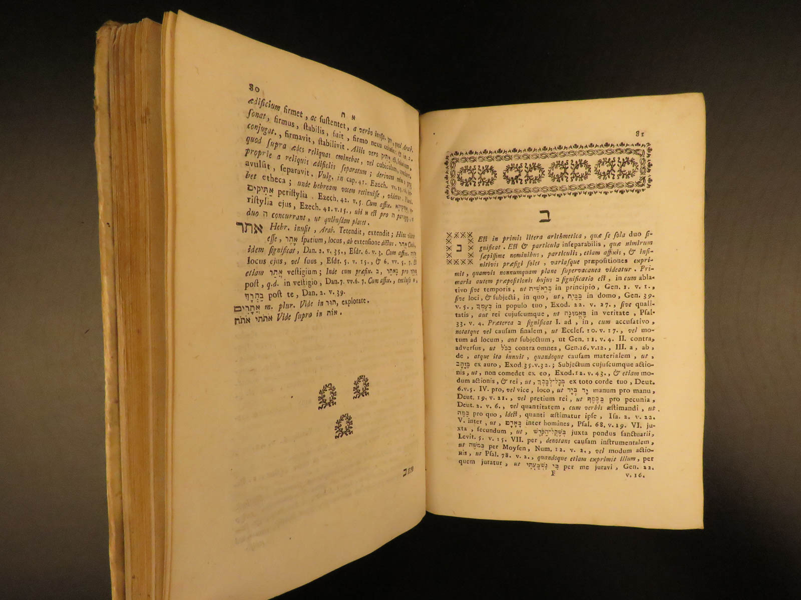 1789 Buxtorf HEBREW & Latin Jewish Bible Lexicon Dictionary Judaica ...