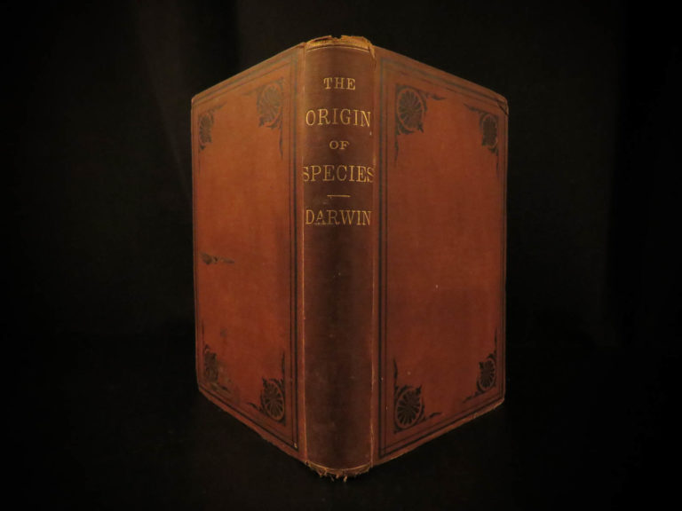 Image of 1871 Charles Darwin Origin of Species American ed Evolution Survival of Fittest