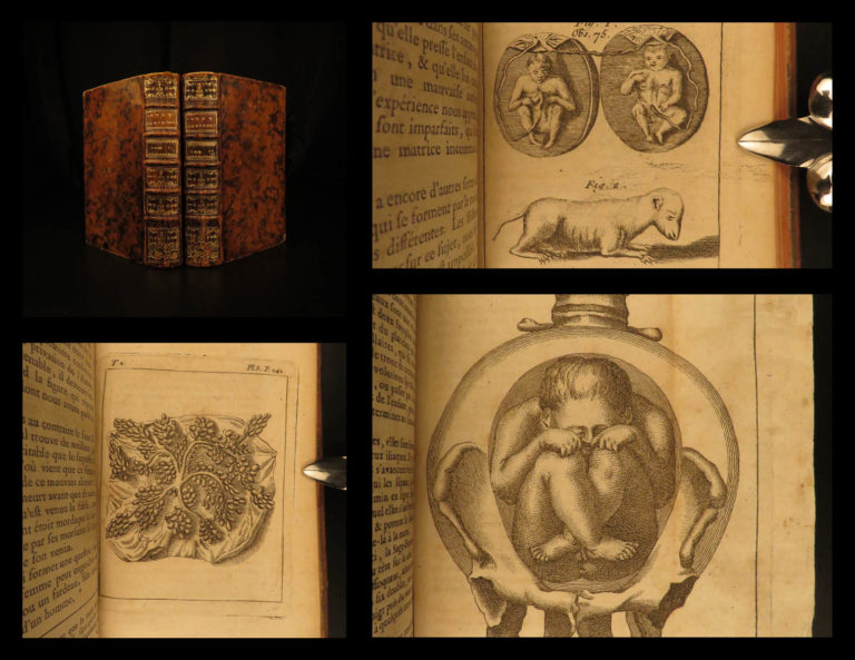 Image of 1752 Nicolas Venette Treatise on Sexology Marriage Erotica Anatomy Conjugal Love