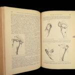 1882 GROSS Anatomy & Surgery System Medicine Pathology Therapy Engraving 2v Set