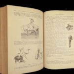 1882 GROSS Anatomy & Surgery System Medicine Pathology Therapy Engraving 2v Set