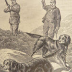 1886 Shooting Hunting GUNS Sports & Games Poachers Dog-Training Illustrated 2v