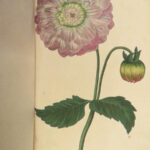 1839 BEAUTIFUL Botanical ART German Gardening Color Illustrated FLOWERS Plants