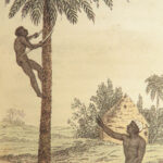 1830 AFRICA by Shoberl Illustrated Costumes Moors of Zahara SLAVERY