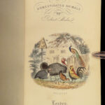 1870 Domesticated Animals Mudie Farm Dogs Cats Horses Poultry Chickens Pets