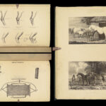 1875 Rural Life Agriculture HUNTING Farming Veterinary HORSE Dogs Illustrated 3v