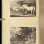 1875 Rural Life Agriculture HUNTING Farming Veterinary HORSE Dogs Illustrated 3v