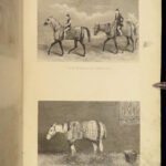 1875 Rural Life Agriculture HUNTING Farming Veterinary HORSE Dogs Illustrated 3v