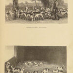 1875 Rural Life Agriculture HUNTING Farming Veterinary HORSE Dogs Illustrated 3v