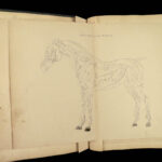 1875 Rural Life Agriculture HUNTING Farming Veterinary HORSE Dogs Illustrated 3v