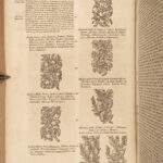 1680 Mattioli HERBAL Botany Medicine Pharmacy Dioscorides Kreuterbuch Drugs