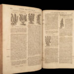 1680 Mattioli HERBAL Botany Medicine Pharmacy Dioscorides Kreuterbuch Drugs