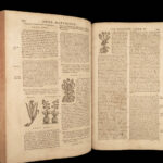 1680 Mattioli HERBAL Botany Medicine Pharmacy Dioscorides Kreuterbuch Drugs