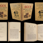 1866 BEES Illustrated Bee Hives Honeybees Beekeeping JG Wood Apiology Melittology