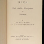 1866 BEES Illustrated Bee Hives Honeybees Beekeeping JG Wood Apiology Melittology