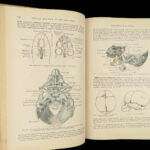 1913 GRAY’S ANATOMY Human Surgery Post Osler Illustrated Physician Medicine Gray