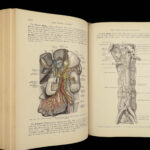 1913 GRAY’S ANATOMY Human Surgery Post Osler Illustrated Physician Medicine Gray