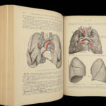 1913 GRAY’S ANATOMY Human Surgery Post Osler Illustrated Physician Medicine Gray