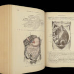 1913 GRAY’S ANATOMY Human Surgery Post Osler Illustrated Physician Medicine Gray