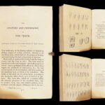 1831 DENTIST Medical Anatomy TEETH Dental + Physiology Pathology EARS Otology