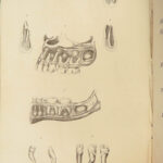 1831 DENTIST Medical Anatomy TEETH Dental + Physiology Pathology EARS Otology