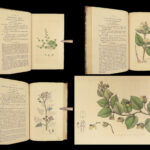 1800 English Botany James Sowerby Color Illustrated Flowers British Plants RARE