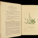 1800 English Botany James Sowerby Color Illustrated Flowers British Plants RARE