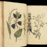 1812 HERBAL Medicine 1ed John Hill Plants Flowers Color Illustrated Distillation