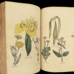 1812 HERBAL Medicine 1ed John Hill Plants Flowers Color Illustrated Distillation