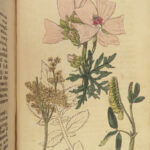 1812 HERBAL Medicine 1ed John Hill Plants Flowers Color Illustrated Distillation
