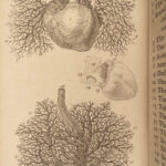 1763 SURGERY Cheselden Human Anatomy Medicine Skeleton Bones Illustrated English
