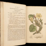 1795 English Botany James Sowerby Color Illustrated Flowers Plant RARE Botanical