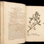 1795 English Botany James Sowerby Color Illustrated Flowers Plant RARE Botanical