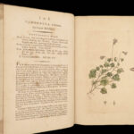 1793 English Botany Sowerby Color Illustrated Flowers Plants RARE Botanical ART