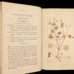 1793 English Botany Sowerby Color Illustrated Flowers Plants RARE Botanical ART