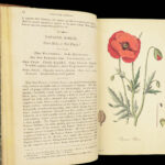 1829 FLOWERS 1ed Flora Medica Botany Medicine Color Illustrated 2v SET Spratt