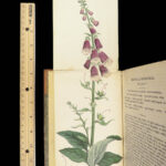 1829 FLOWERS 1ed Flora Medica Botany Medicine Color Illustrated 2v SET Spratt