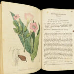 1829 FLOWERS 1ed Flora Medica Botany Medicine Color Illustrated 2v SET Spratt