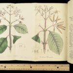 1829 FLOWERS 1ed Flora Medica Botany Medicine Color Illustrated 2v SET Spratt