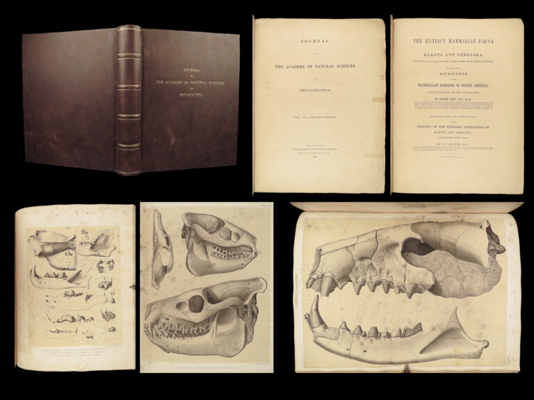 Image of 1869 PALEONTOLOGY 1ed Extinct Fauna Mastodons Fossils Leidy Dakota Nebraska RARE