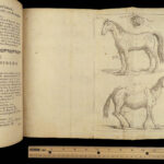 1746 HORSES Parfait Marechal de Garsault Illustrated Herbal Veterinary Medicine