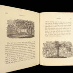 1878 BEAUTIFUL Fairy Tales Thomas BEWICK ART 90 Woodcuts RARE Poetry Walt Brown