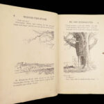 1926 Winnie the Pooh TRUE 1st ed AA Milne Illustrated Children’s Literature