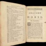 1738 HORSES Gibson Farrier’s Guide Equestrian Veterinary Medicine Illustrated