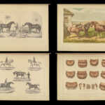 1880 EQUESTRIAN Modern Farriery Miles Veterinary Medicine Cattle ART Cows HORSES