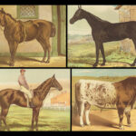 1880 EQUESTRIAN Modern Farriery Miles Veterinary Medicine Cattle ART Cows HORSES