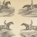 1880 EQUESTRIAN Modern Farriery Miles Veterinary Medicine Cattle ART Cows HORSES